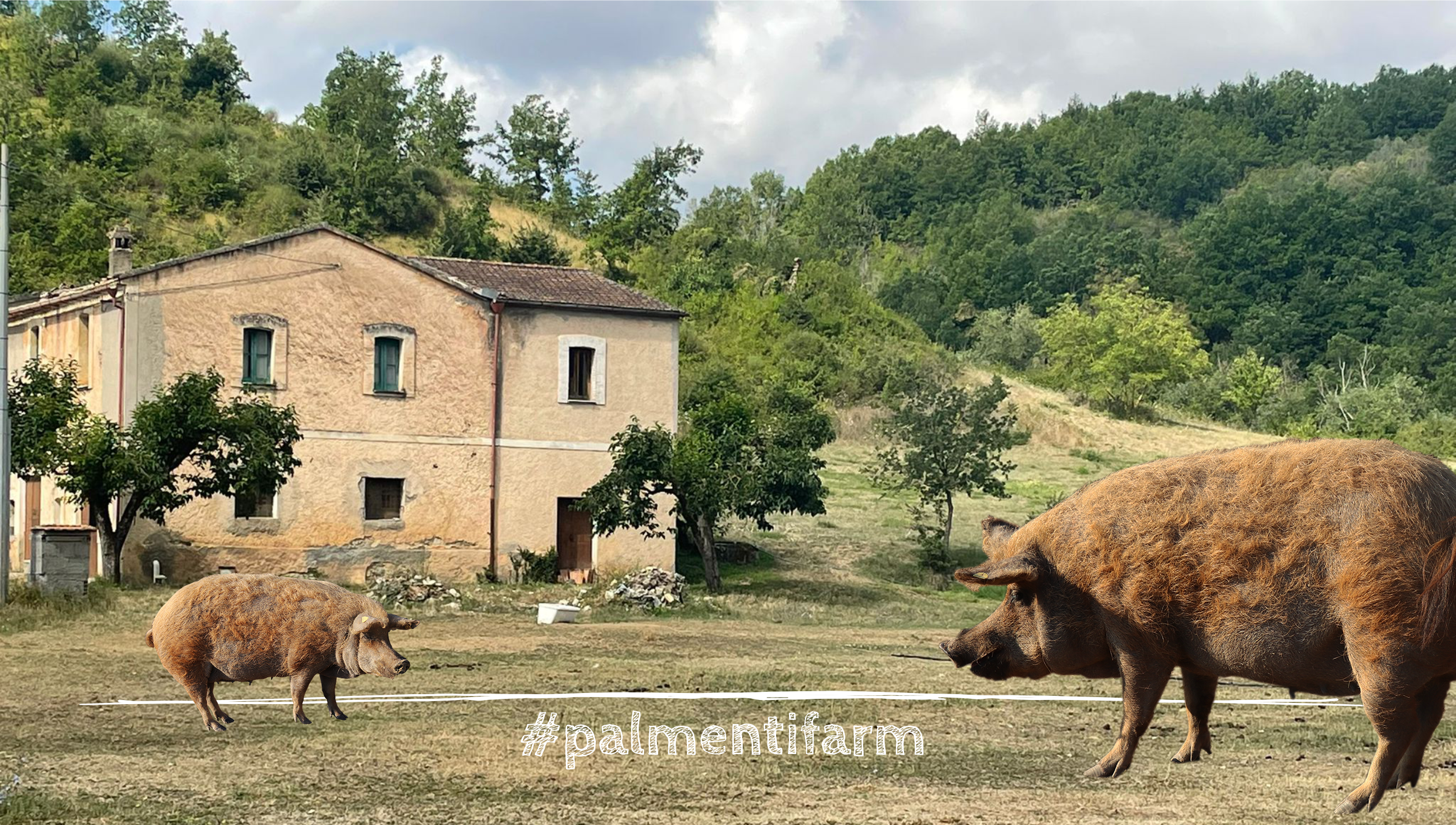 Benvenuti in PALMENTI FARM S.R.L.S.